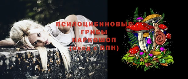 дурь Михайлов
