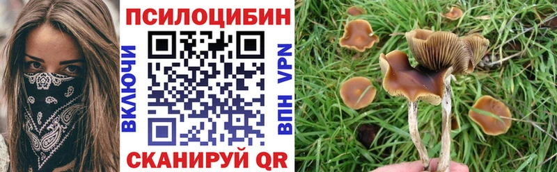 Галлюциногенные грибы GOLDEN TEACHER  Шагонар 
